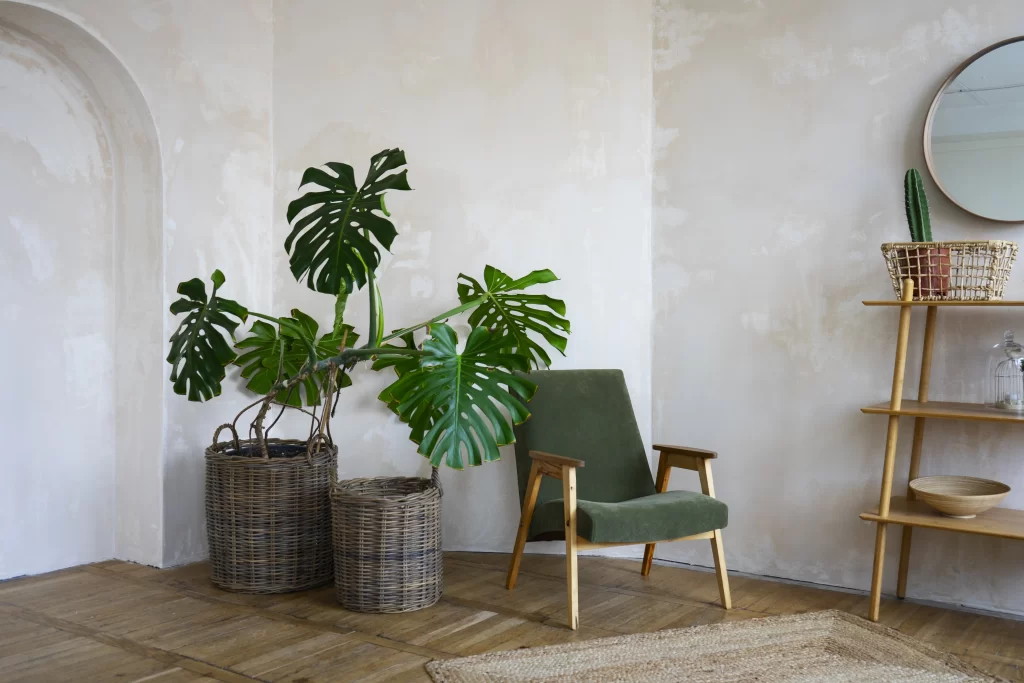 گوشه ای از هال که گلدان و گیاهان در کنار هال و صندلی سبز با پایه های چوبی و در کنار صندلی کمد دکوری قرار دارد